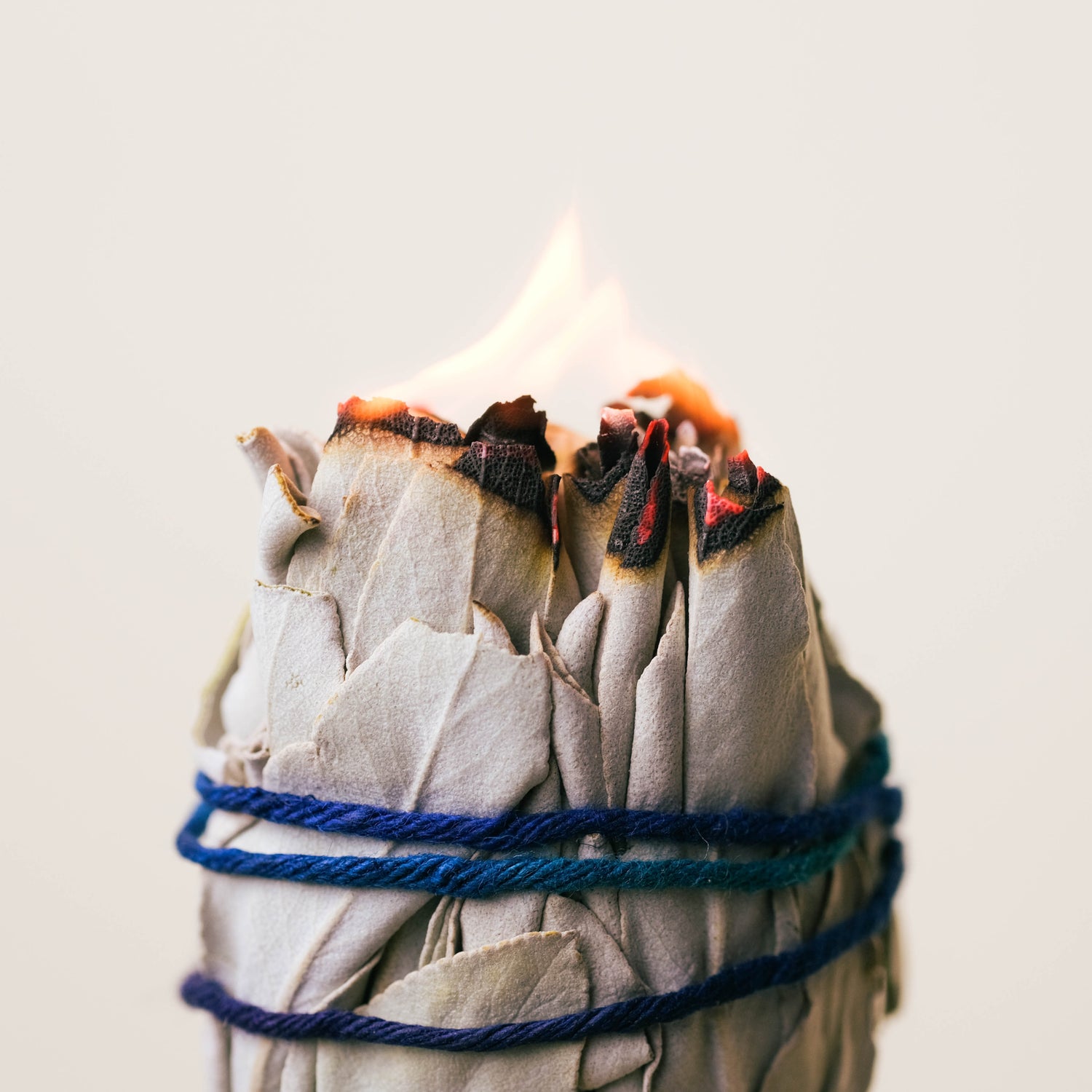Organic White Sage