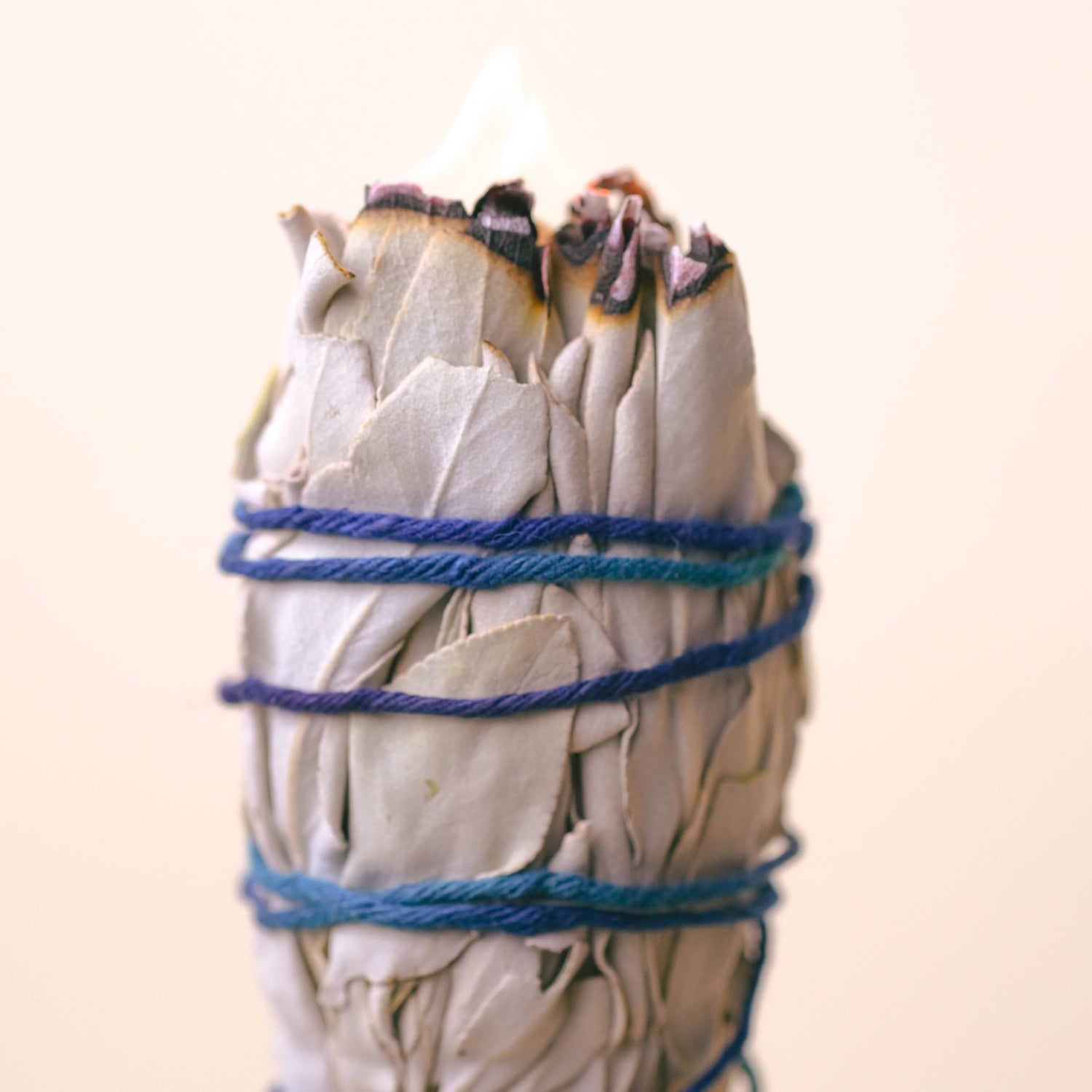 Organic White Sage