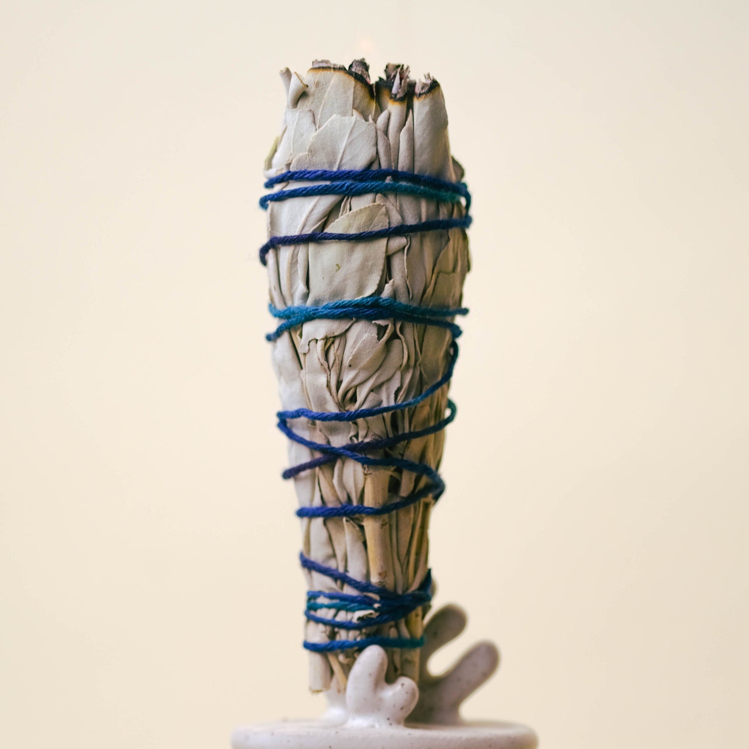 Organic White Sage